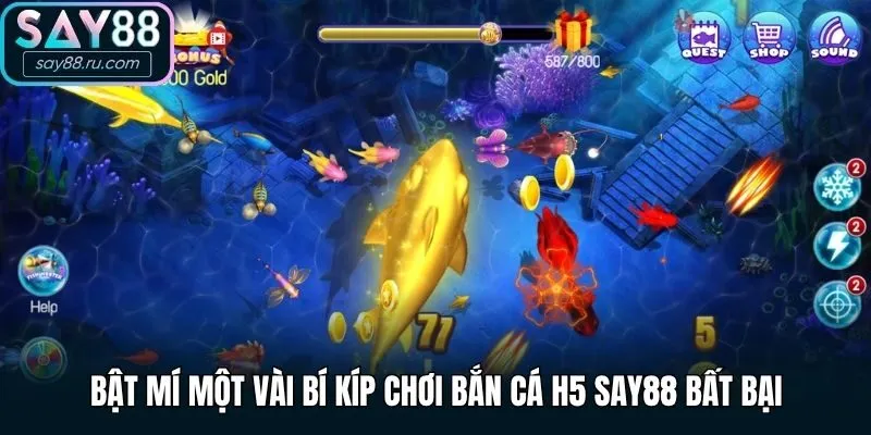 Bật mí một vài bí kíp chơi Bắn Cá H5 Say88 bất bại