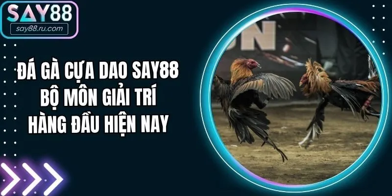 Đá Gà Cựa Dao Say88 - Bộ Môn Giải Trí Hàng Đầu Hiện Nay