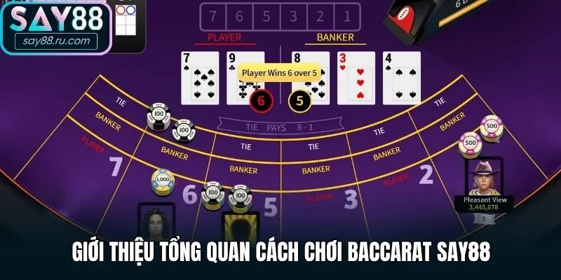 Giới thiệu tổng quan cách chơi Baccarat Say88