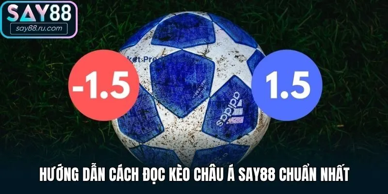 Hướng dẫn cách đọc kèo châu Á Say88 chuẩn nhất