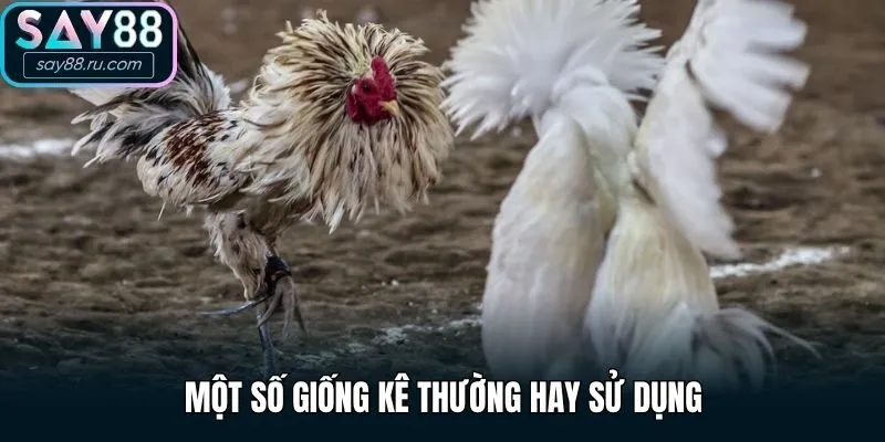 Một số giống kê thường hay sử dụng