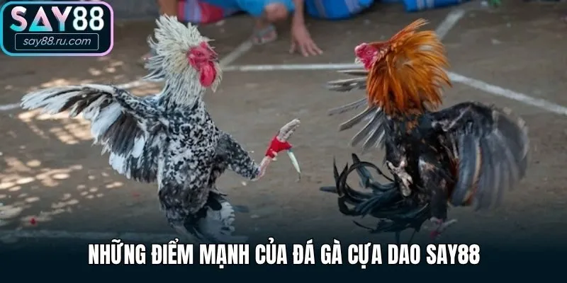 Những điểm mạnh của đá gà cựa dao Say88
