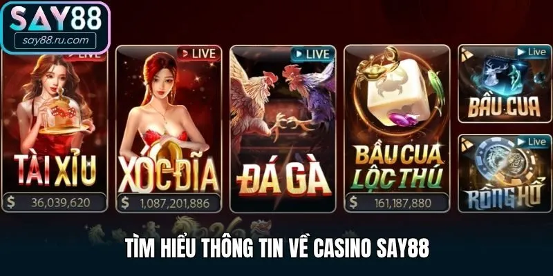 Tìm hiểu thông tin về casino Say88