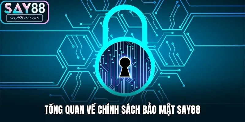 Tổng quan về chính sách bảo mật Say88