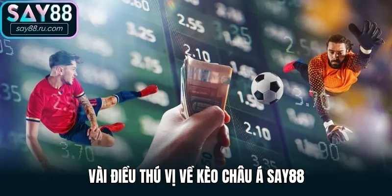 Vài điều thú vị về kèo châu Á Say88